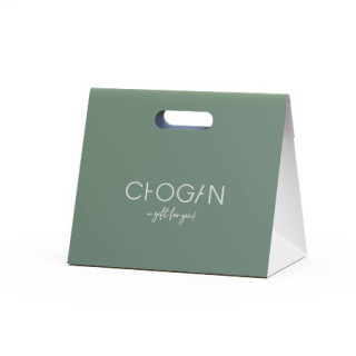 Sac cadeau SH16 - Vert par Chogan