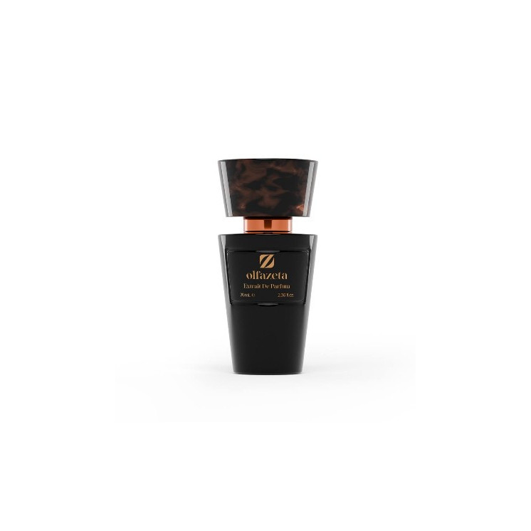 So True - Parfum Homme 079M - 30% d'essence - Olfazeta