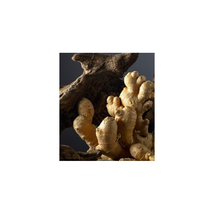 Parfum Femme 328 - 30% d'essence par Chogan