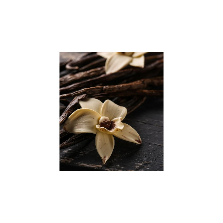 Divine Aura - Parfum Femme 3148W - 30% d'essence - Olfazeta