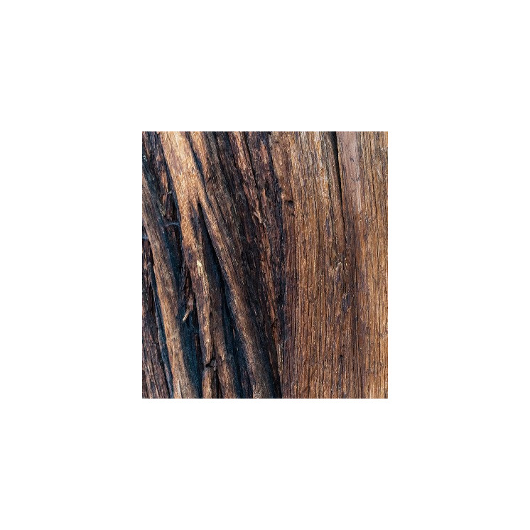 Parfum Homme 391 - 30% d'essence par Chogan