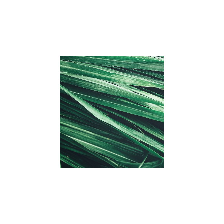 Parfum Homme Eternal Love For Him 3162M - 30% d'essence - Olfazeta