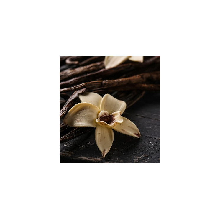 Parfum Homme 391 - 30% d'essence par Chogan