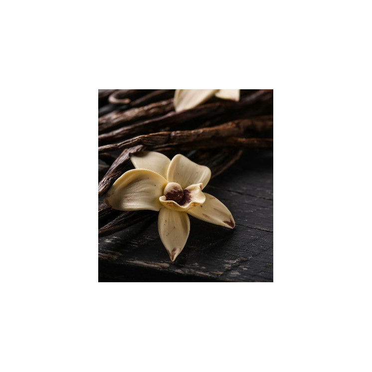 Eternal Love For Her - Parfum Femme 161W - 30% d'essence - Olfazeta